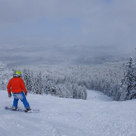 Borovets Apartment, Villa Park Luaran gambar