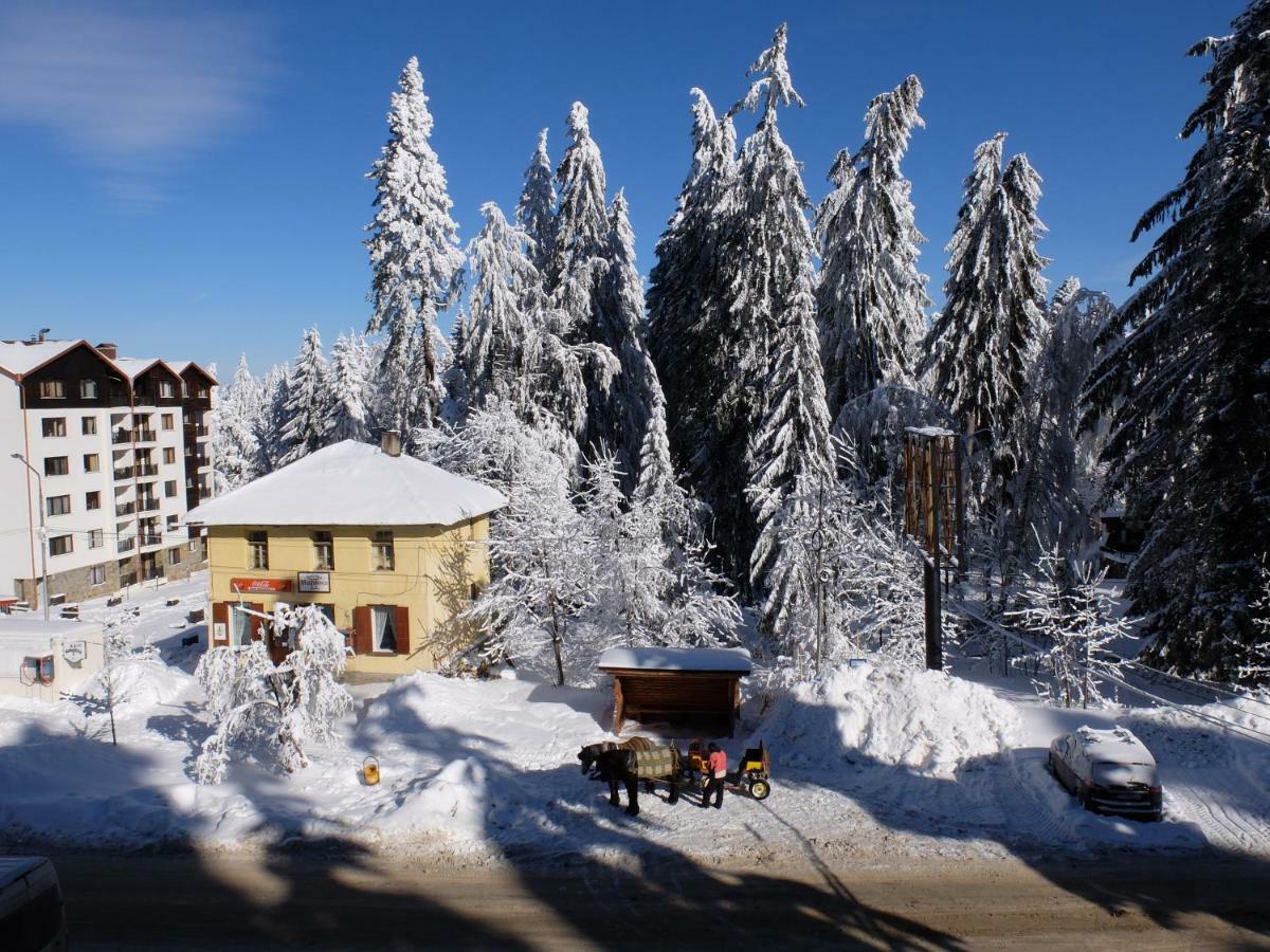 Borovets Apartment, Villa Park Luaran gambar