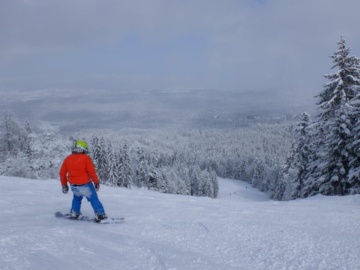 Borovets Apartment, Villa Park Luaran gambar