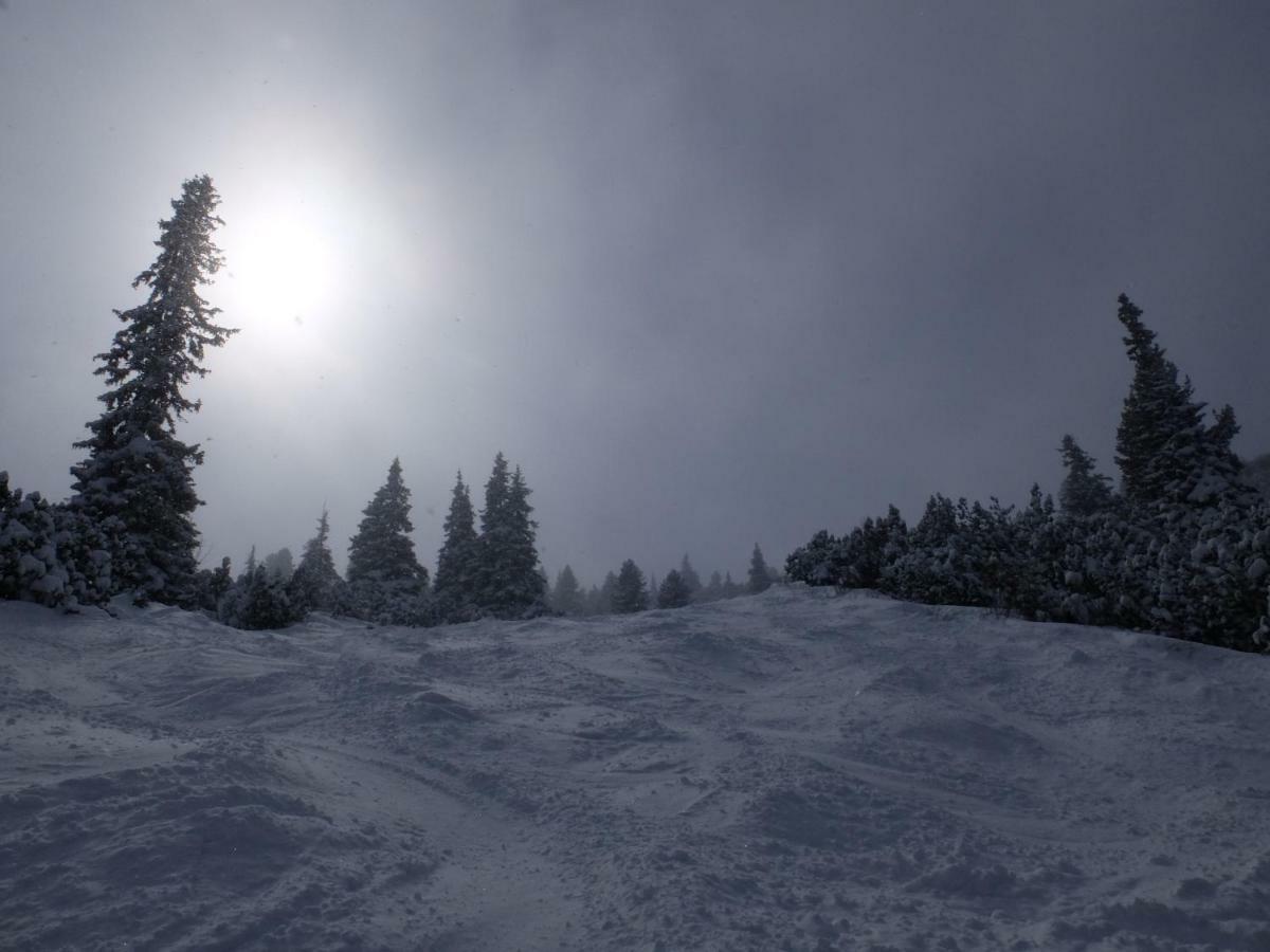 Borovets Apartment, Villa Park Luaran gambar